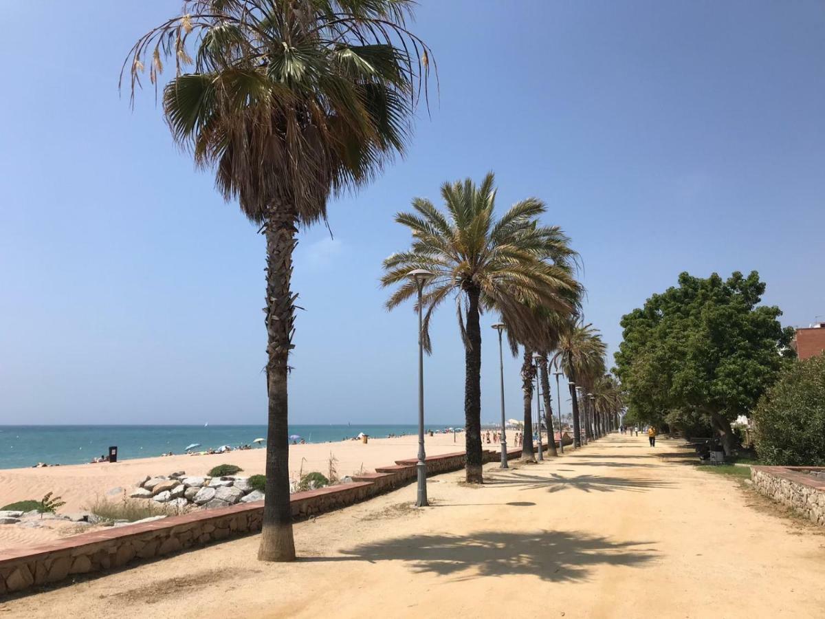 Apartamento Frente Al Mar كانيه دي مار المظهر الخارجي الصورة