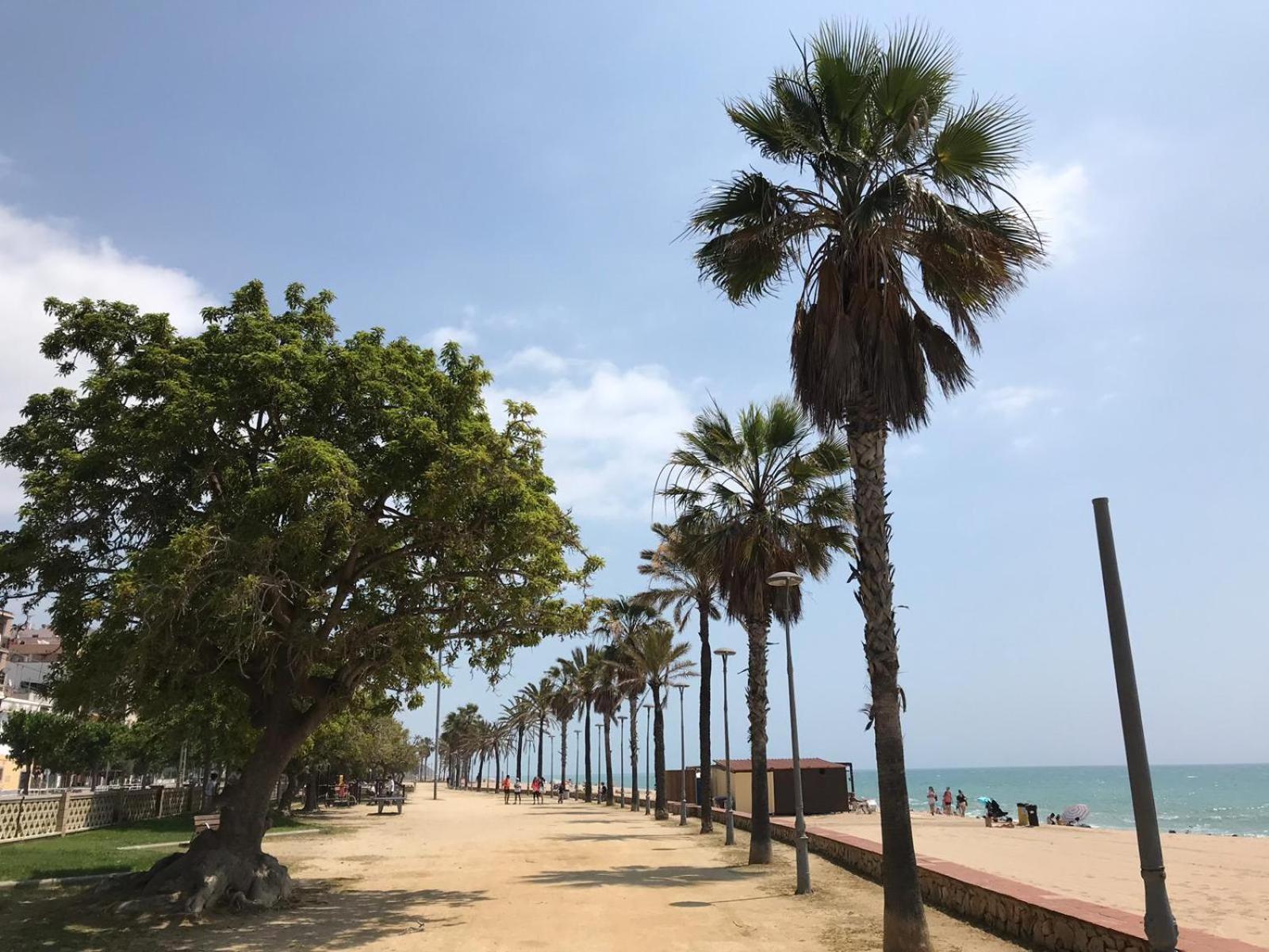 Apartamento Frente Al Mar كانيه دي مار المظهر الخارجي الصورة